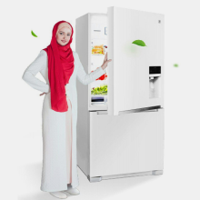  یخچال فریزر دوو DB-2830GW